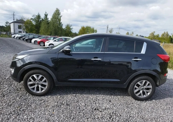 Kia Sportage cena 47900 przebieg: 191000, rok produkcji 2014 z Częstochowa małe 436